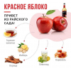 Сироп Красное яблоко DAVINCI 1000мл